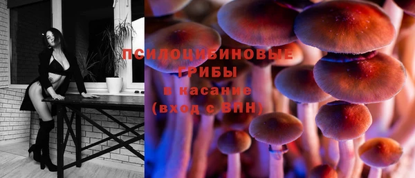 spice Баксан