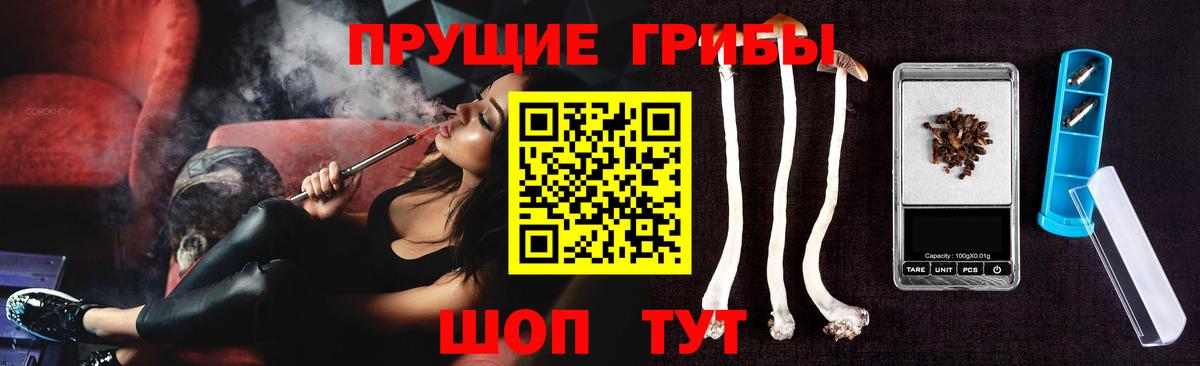 Галлюциногенные грибы Усть-Джегута